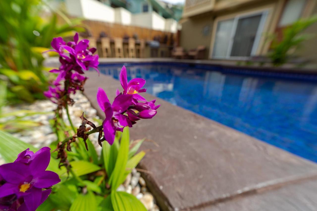 Studio With Mini Kitchen, Pool And Bbq, Pre-Renovation Summer Sale Kīhei Exterior foto